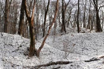 zakončení valu a pohled na hrad od západu ( © Jan P. Štěpánek 01/2009)