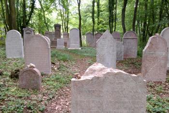 Židovský hřbitov Třebotov (© Simona Kidlesová, 06/2016)
