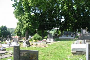 pohled na místo tvrze od sv. (© D Dohňanský, 06/2015)