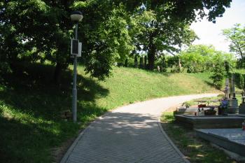 zaoblení tvrziště na sev. straně (© D Dohňanský, 06/2015)