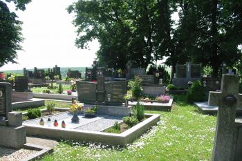 střed tvrze od severu (© D Dohňanský, 06/2015)