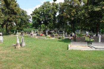 Severní část tvrziště ( © Roman Řezáč 07/2006)