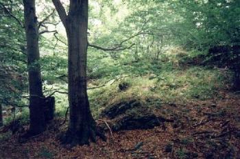 Leuchtenštejn (2001 ©Radim Bystroň)