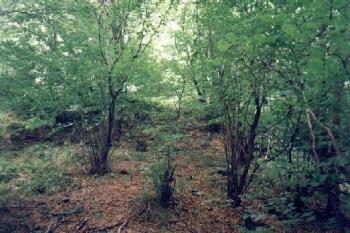 Leuchtenštejn (2001 ©Radim Bystroň)