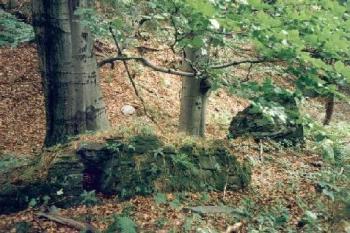 Leuchtenštejn (2001 ©Radim Bystroň)