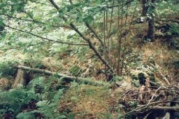 Leuchtenštejn (2001 ©Radim Bystroň)