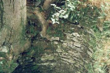 Leuchtenštejn (2001 ©Radim Bystroň)