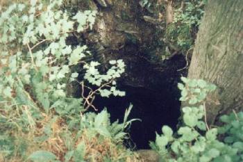 Leuchtenštejn (2001 ©Radim Bystroň)