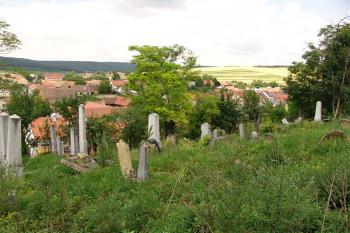  ( © Roman Řezáč 07/2006)