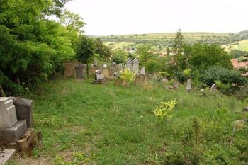  ( © Roman Řezáč 07/2006)