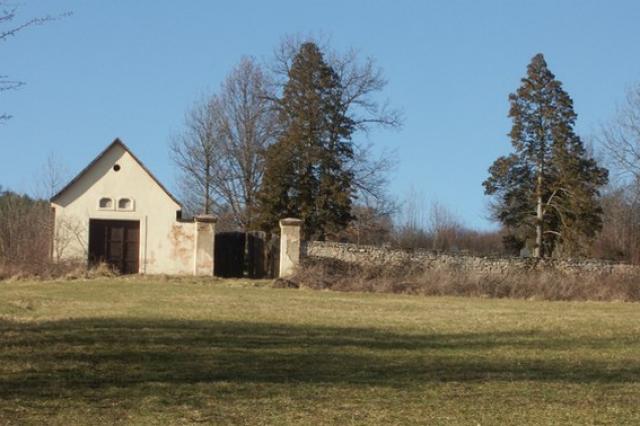 židovský hřbitov