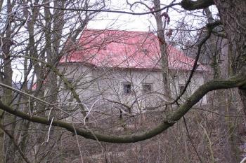 pohled na zámek přes džungli stromů na východě ( © Jan P. Štěpánek 02/2008)