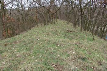 Pohled na úzké jádro hrádku od jihovýchodu ( © Roman Řezáč 01/2008)