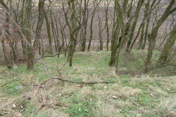 Náznaky terénních úprav na severovýchodním boku pod jádrem ( © Roman Řezáč 01/2008)