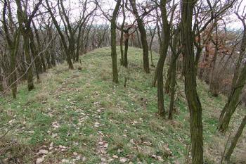 Pohled na jihovýchodní konec jádra ( © Roman Řezáč 01/2008)