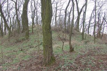 Náznak šíjového příkopu před hrádkem ( © Roman Řezáč 01/2008)