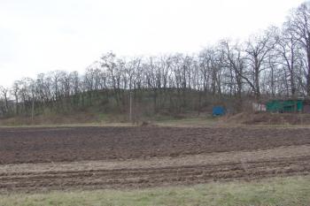 Celkový pohled na lokalitu od východu ( © Roman Řezáč 01/2008)