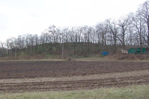 Vítovice