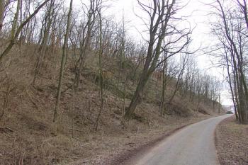 Pohled od Vítovického potoka na skalnatý výběžek s hrádkem se zbytkem lokálního lomu ( © Roman Řezáč 01/2008)