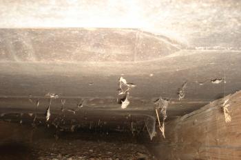 Dřevěný trámový záklopový strop v první nepřístupné polovině tvrze (© Jaromír Schoffer, 01/2010)