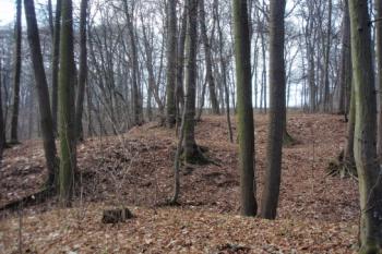  (© Rostislav Vondra, 02/2008)