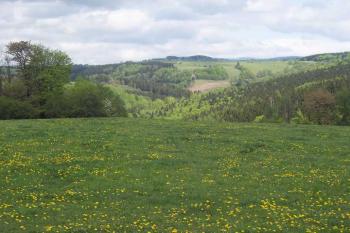 krásný výhled z Křížového vrchu (© Martin Hájek, 31.7.2006)