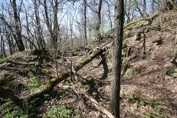 Příkop ( © Luděk Pitter 04/2007)