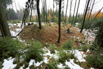 Tvrziště od jihovýchodu ( © Filip Matoušek 11/2007)