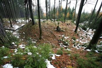 Tvrziště od východu ( © Filip Matoušek 11/2007)