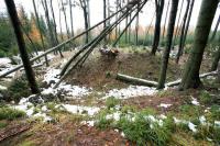 Stoupec