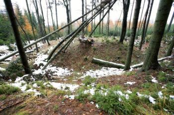 Tvrziště od jihozápadu ( © Filip Matoušek 11/2007)