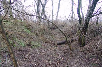 Zarostlý příkop na severní straně ( © Roman Řezáč 01/2008)