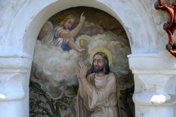  (© Petr Hejna, 05/2014)