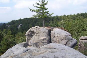 Klokočský hrádek (© Stevo Ferster, 03/2008)