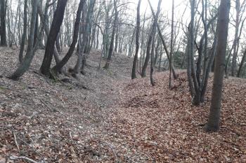 Příkop kopírující severní svah. (© Prudký Martin 12/2017)