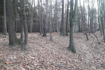  ( © Prudký Martin 12/2017)