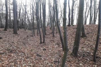  ( © Prudký Martin 12/2017)