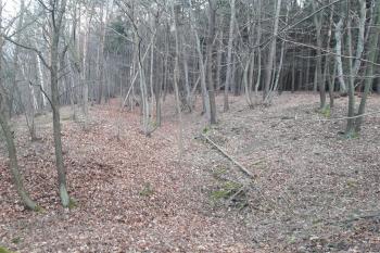 Příkop kopírující svah ( © Prudký Martin 12/2017)