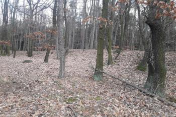 Pohled na vnitřní stranu valu. ( © Prudký Martin 12/2017)