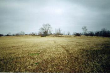 Jížní část hradiště (© Jiří Kašpar, 03/2009)