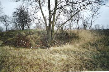 Zbytky valu (© Jiří Kašpar, 03/2009)