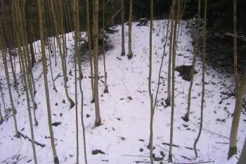  ( ©Martin Kabeláč 12/2005)