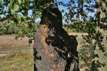 Menhir Baba ( © Luděk Pitter 09/2007)