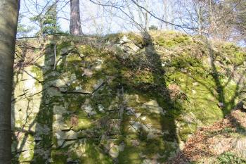 na této kolmé skalní stěně /na východní straně/ se nachází hrad (© D Dohňanský, 04/2015)