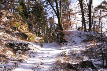 pohled od severozápadu na čelo lokality a příkop ( © Jan P. Štěpánek 02/2008)
