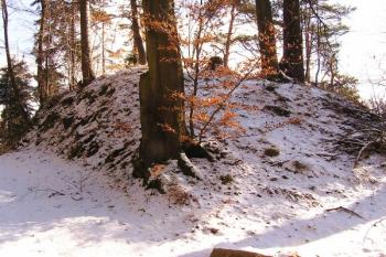čelo lokality hradu Kružberk ( © Jan P. Štěpánek 02/2008)
