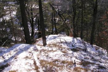 klesající skalnatá část hradu k jihu ( © Jan P. Štěpánek 02/2008)