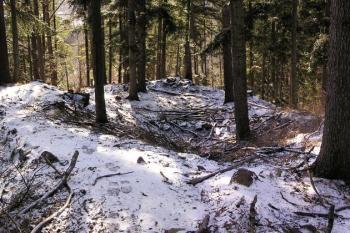 celkový pohled od severu na předsunuté opevnění hradu ( © Jan P. Štěpánek 02/2008)