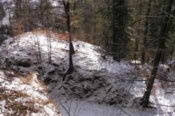 celkový pohled na jádro hradu od ssz. ( © Jan P. Štěpánek 02/2008)