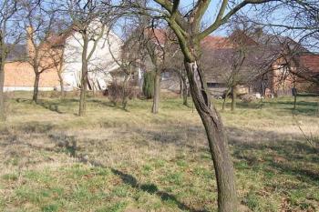 Stařechovice - tvrz (© Ivo Rozehnal, 03/2008)